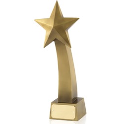 Manufacturers Exporters and Wholesale Suppliers of Metal Awards Trophies Bhubaneshwar Orissa